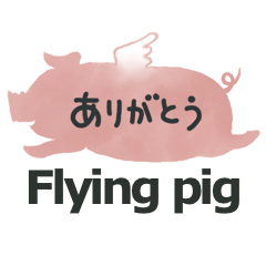Flying pig /Daily conversations