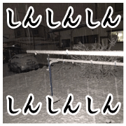 It snowed