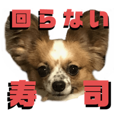 NULL8_20201112122914