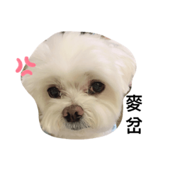 Cindy’s babe_20201112_