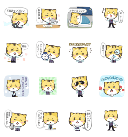 Jimmy the Cat