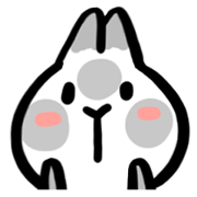 Rabbit of daily life