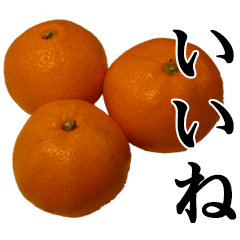 This is a Mikan