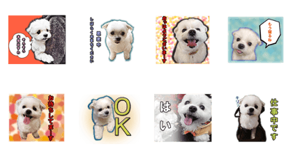 daifukuken