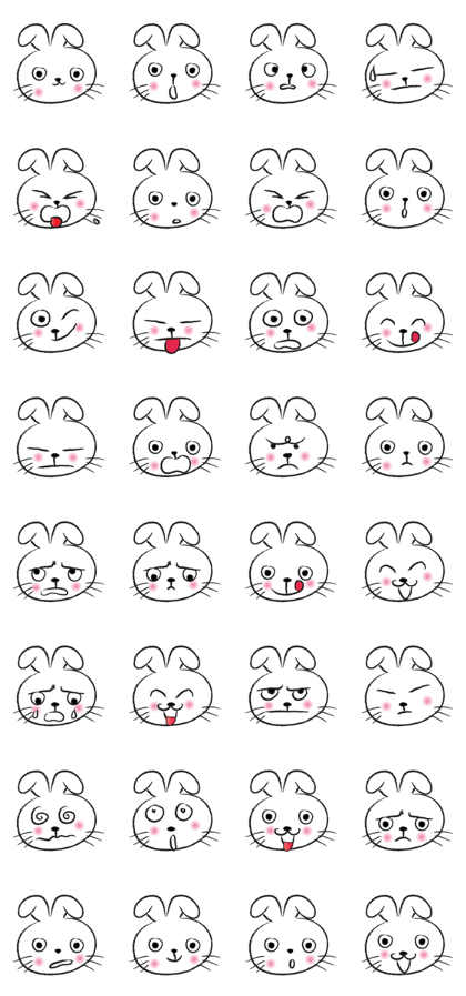 round face rabbit