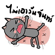 Cat Nampu