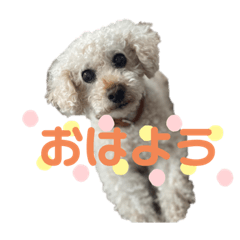 REI_purin