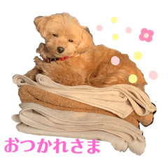 nanairo_20201112131811