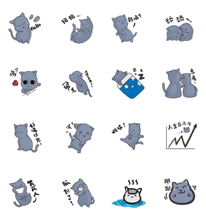 Russia Blue cat