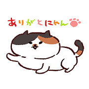 Japanese my cat!