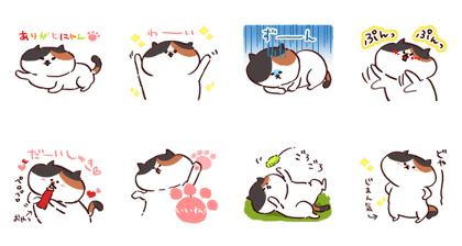 Japanese my cat!