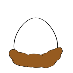 Chick egg yolk