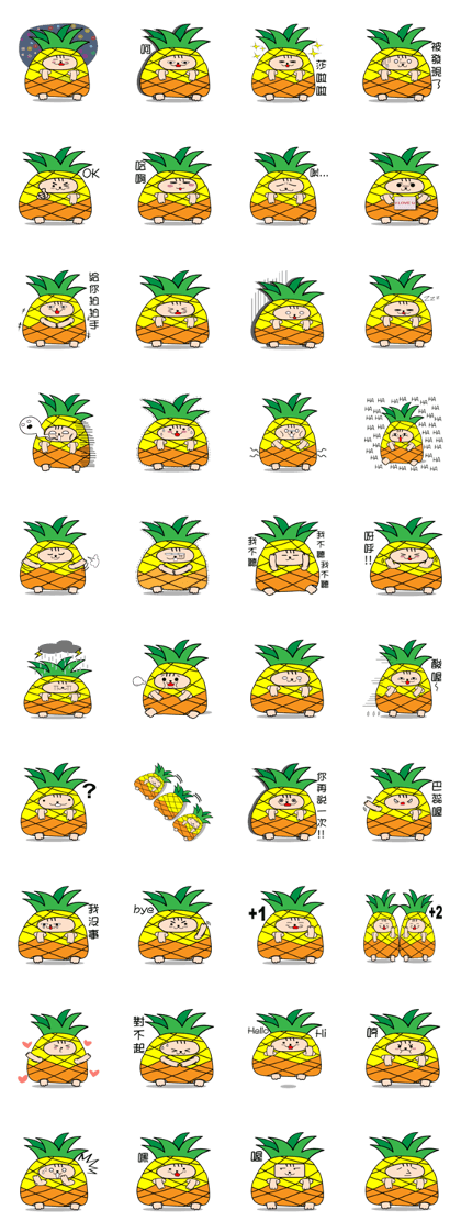 cat of Pineapple