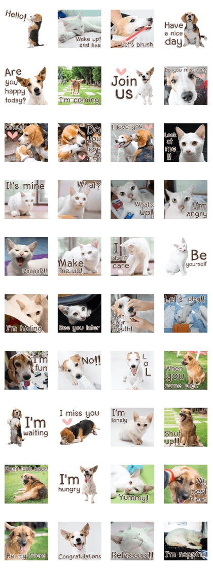 Naugthy Woof and Meow gang (Eng)