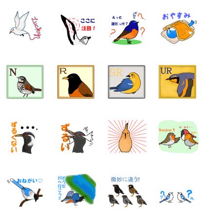 Rare Birds in Japan