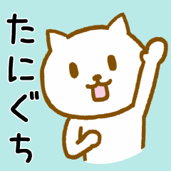 Cat To TANIGUCHI
