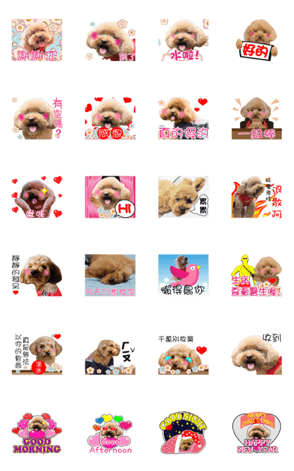 Poodle Queen3_a cute little girl