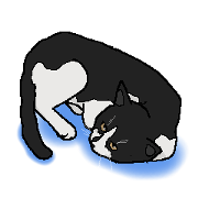 flabbily cat