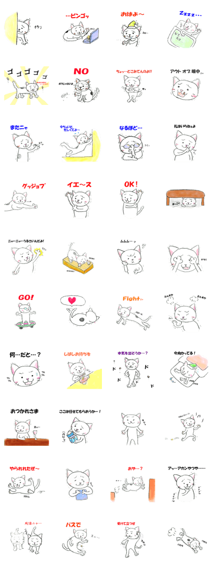 Ggreat CAT_KOHARUSAN