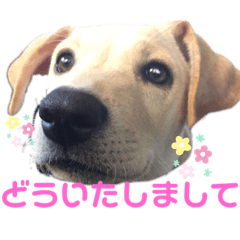 arisa_20201112183856