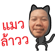 MAEWLAO go where?