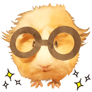 mop of guinea pig 2