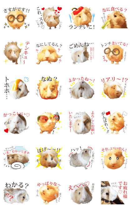 mop of guinea pig 2