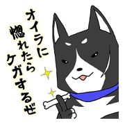 Black dog's older brother that one