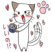 Nyanko at home