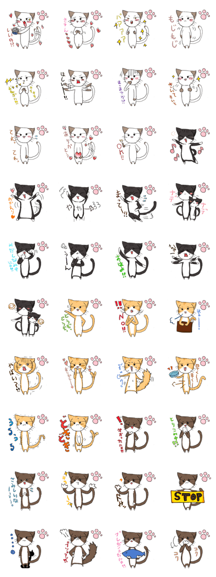 Nyanko at home