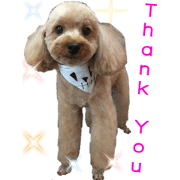Bilingual dogs' stickers