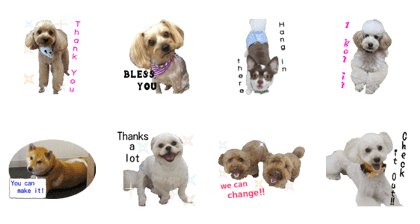 Bilingual dogs' stickers