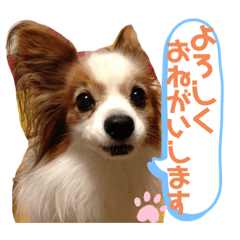 JUNKO_20201113032629