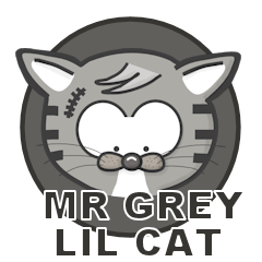 Mr Grey Little Cat