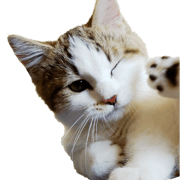 Maru/Leo