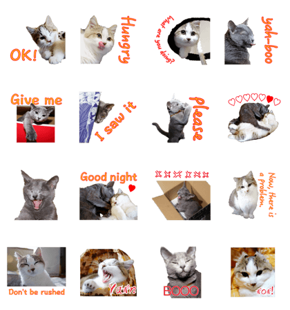 Maru/Leo