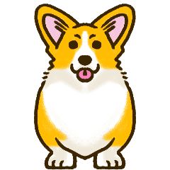 Welsh corgi is love