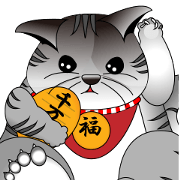 Timid silver tabby