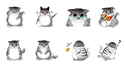 Timid silver tabby
