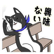 Black dog's older brother that two