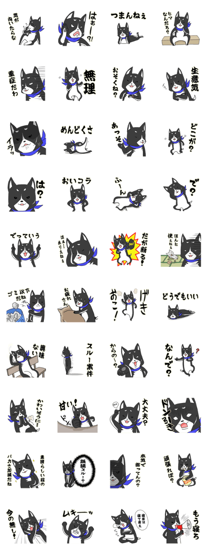 Black dog's older brother that two
