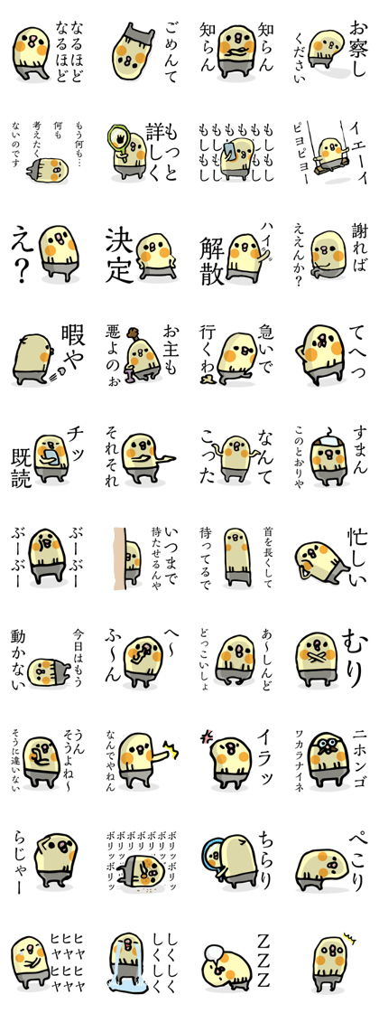 The appearance is Cockatiel.
