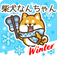 Shiba Nanchan in Winter