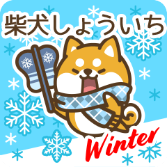 Shiba Shouichi in Winter