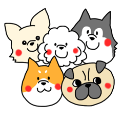 five cute dogs