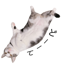 haruna_20201113115218