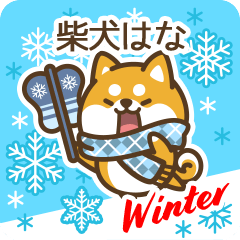 Shiba Hana in Winter