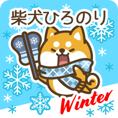 Shiba Hironori in Winter