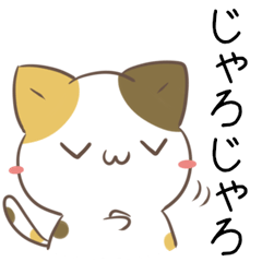 Hiroshima dialect calico cat3