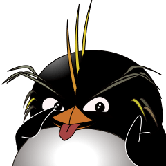 saucy penguin